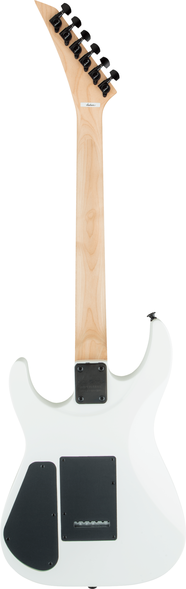 2910121576 gtr back 001 rl