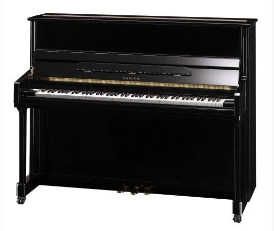 JS 121D NEGRO PULIDO