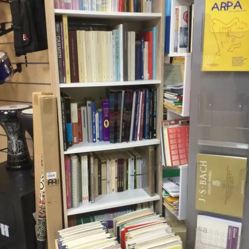 Ritme, cordes i distorsió: un espai per a músics