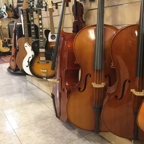 Exhibición de guitarras clásicas: elegancia acústica