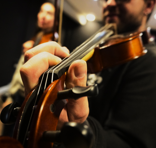 violi